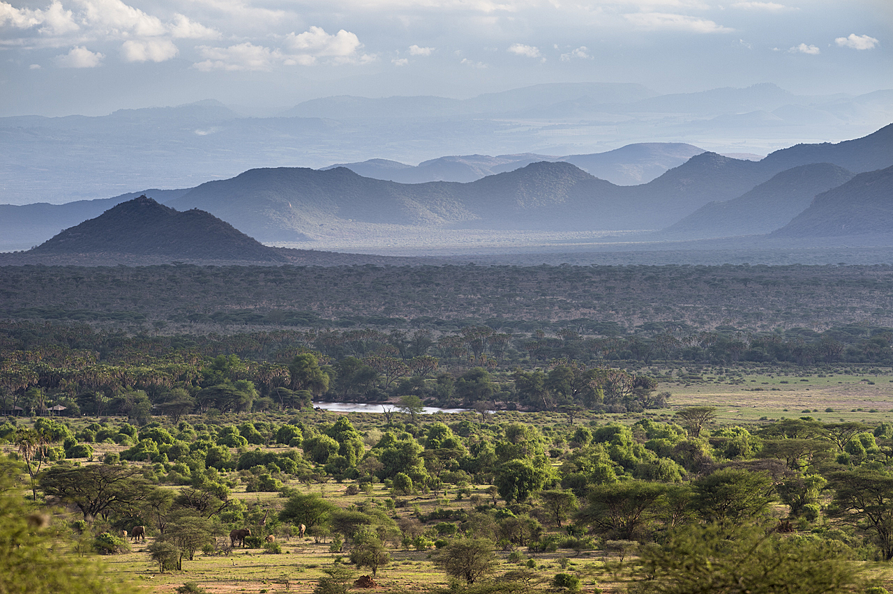 Samburu und Laikipia