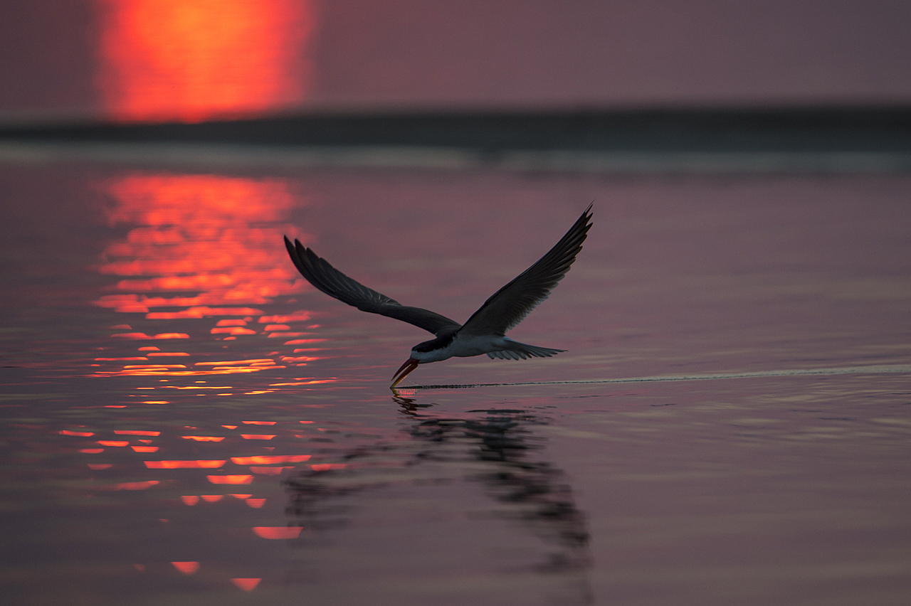 Sambesi - Land am Fluss