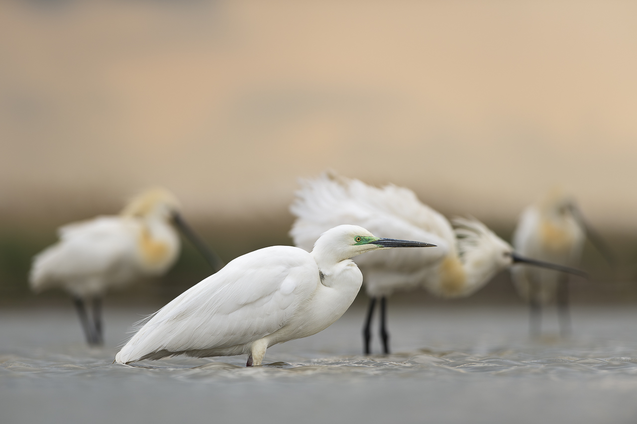 Wasser - Quelle des Lebens