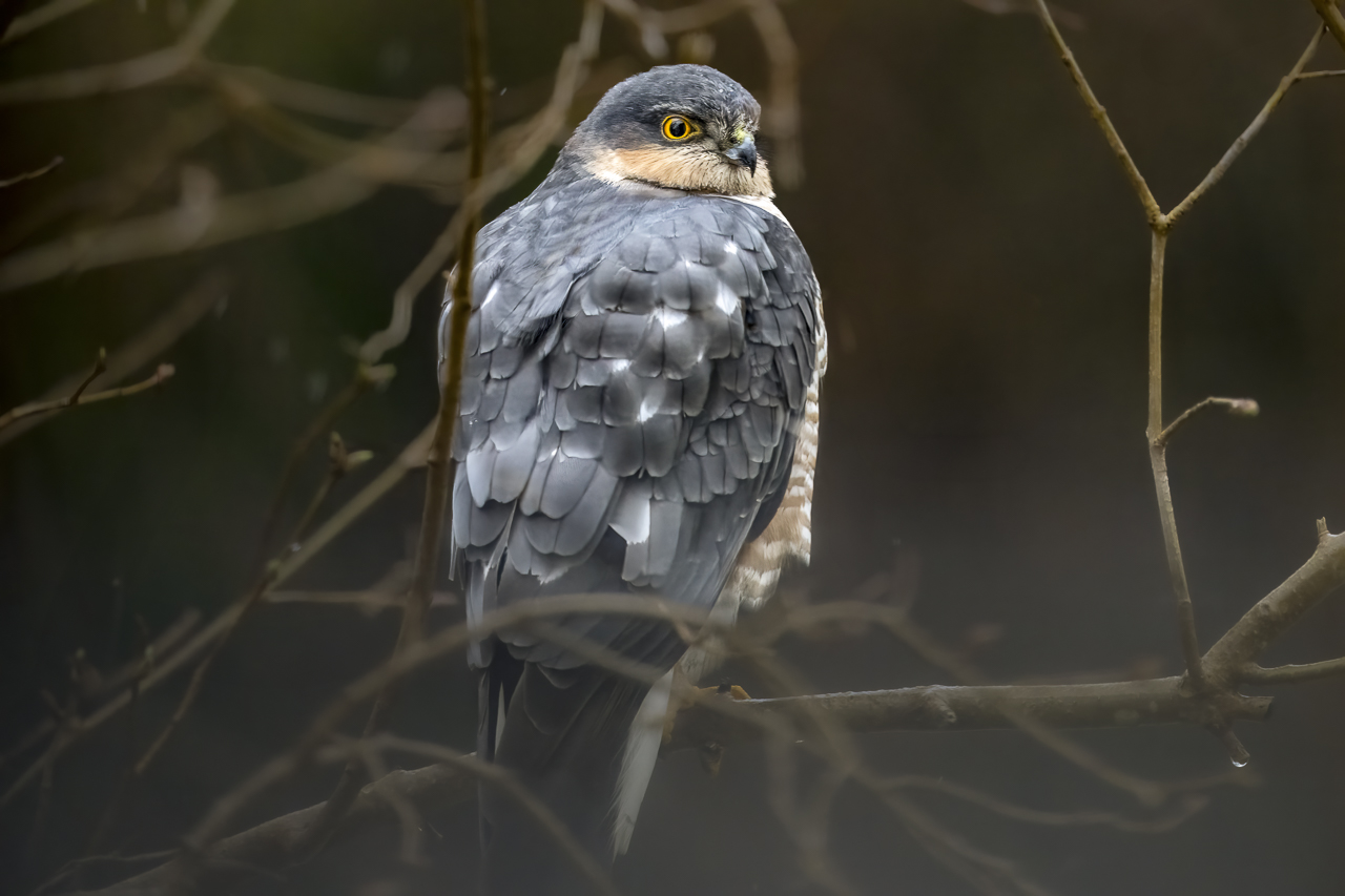Wald - Raum für natürliche Zusammenhänge