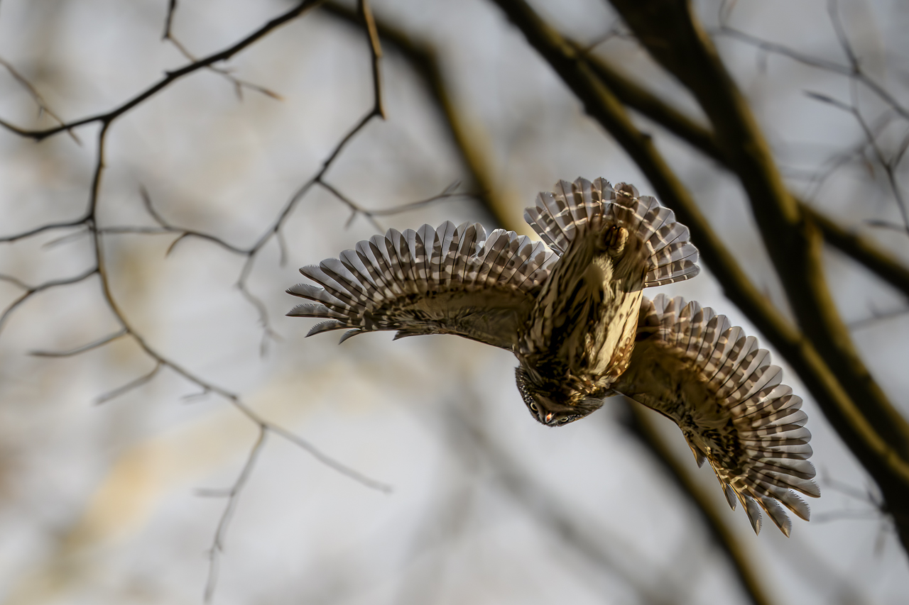 Wald - Raum für natürliche Zusammenhänge