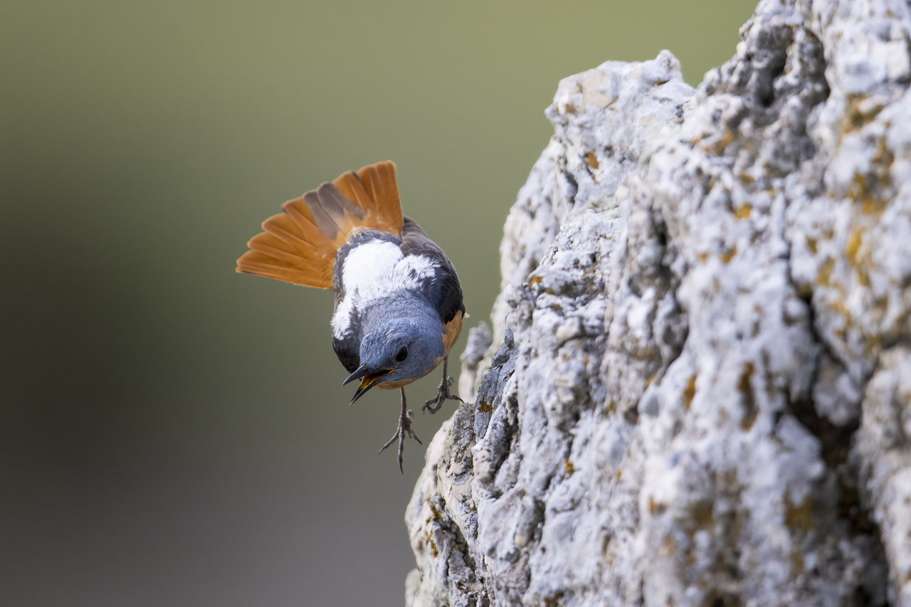 Balkan - jetzt und retro