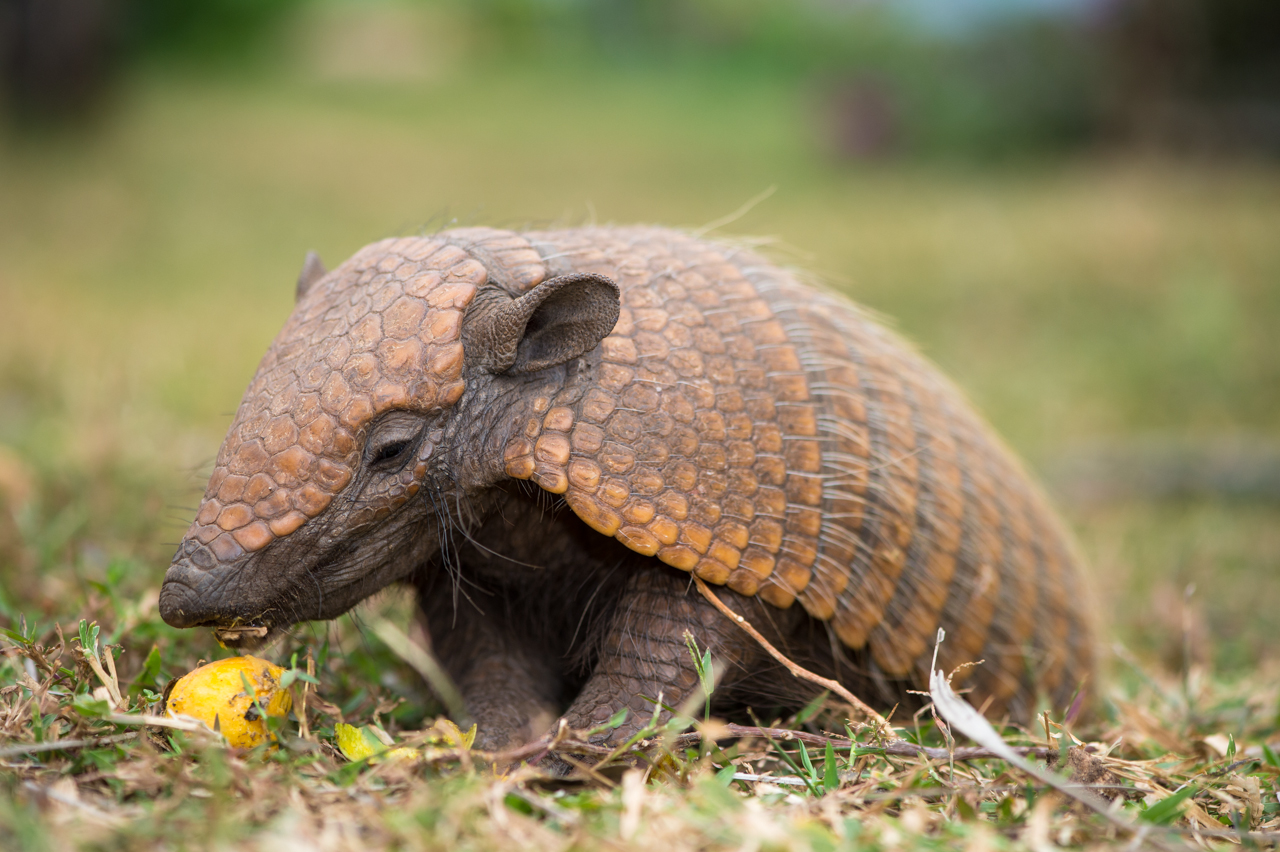 Südamerikas Ureinwohner