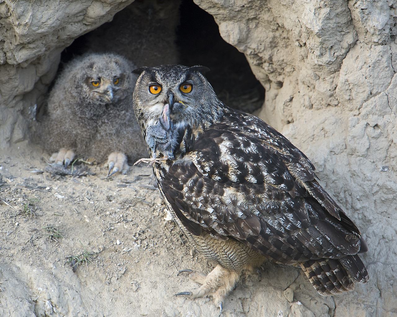 Balkan - jetzt und retro