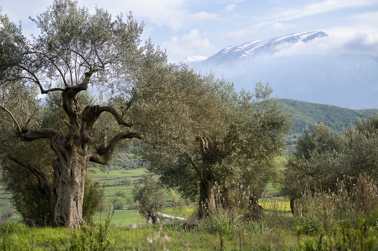 Balkan - jetzt und retro