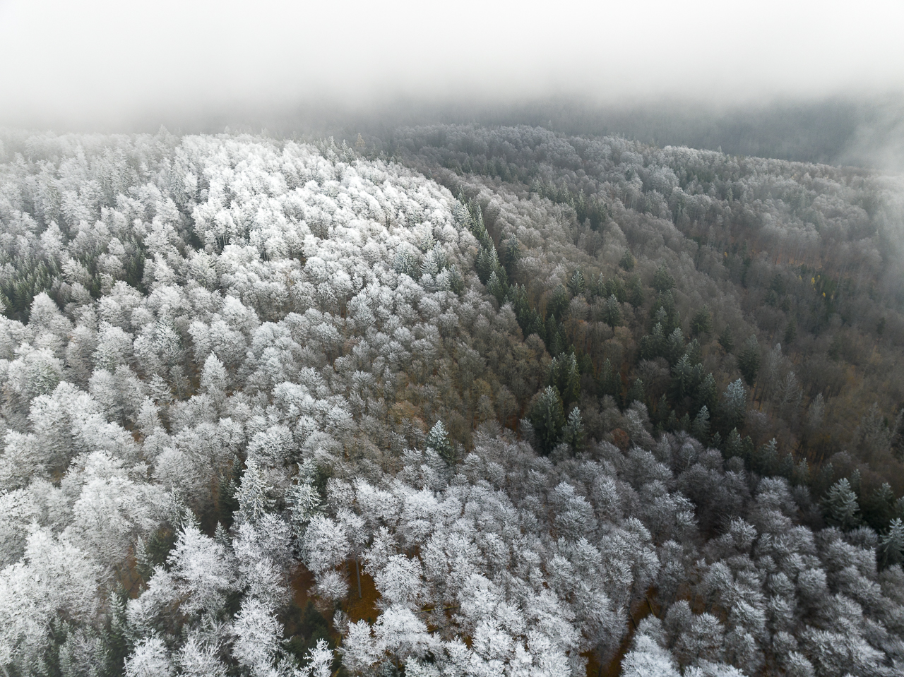 Wald - Raum für natürliche Zusammenhänge