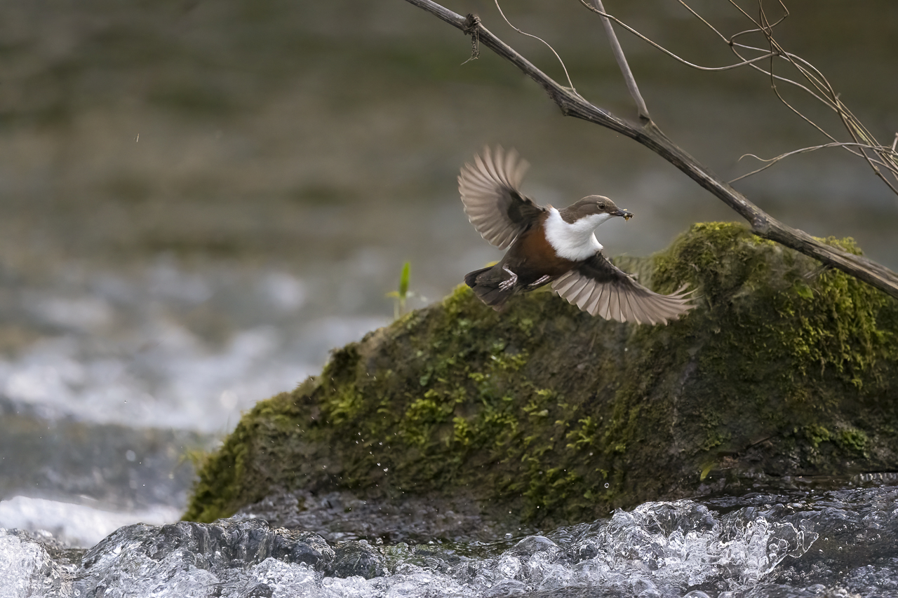 Wasser - Quelle des Lebens
