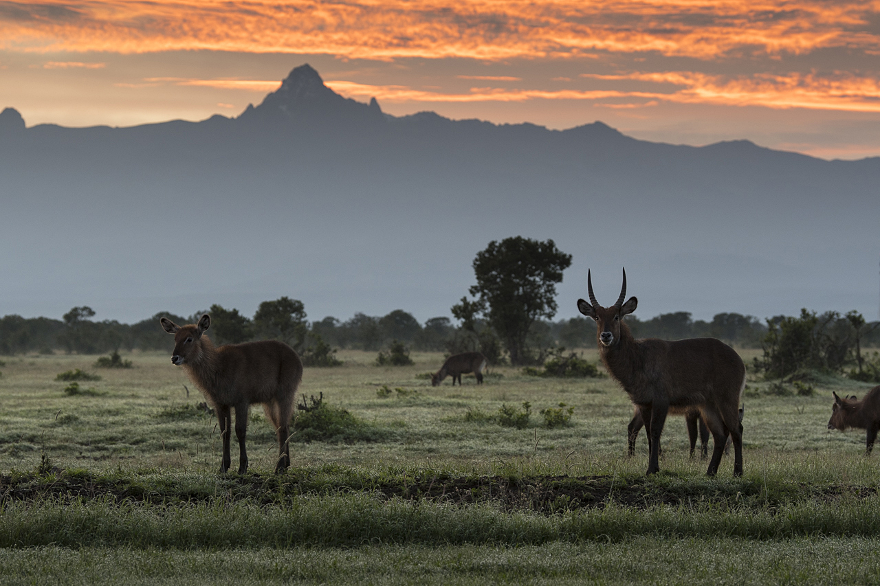 Samburu und Laikipia