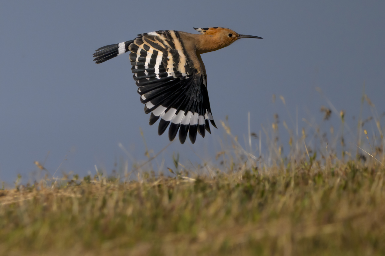 Tag-und-Nacht-Feuerwerk