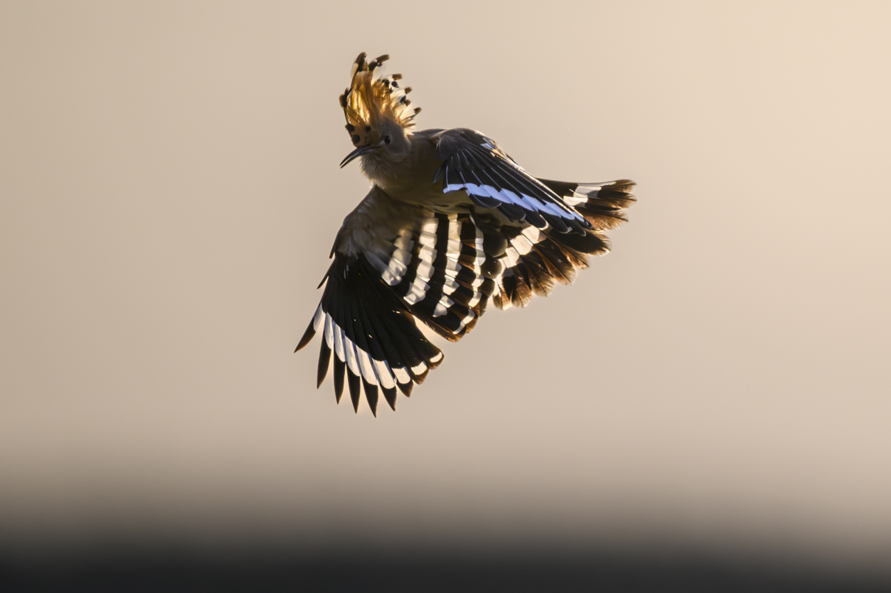 Tag-und-Nacht-Feuerwerk