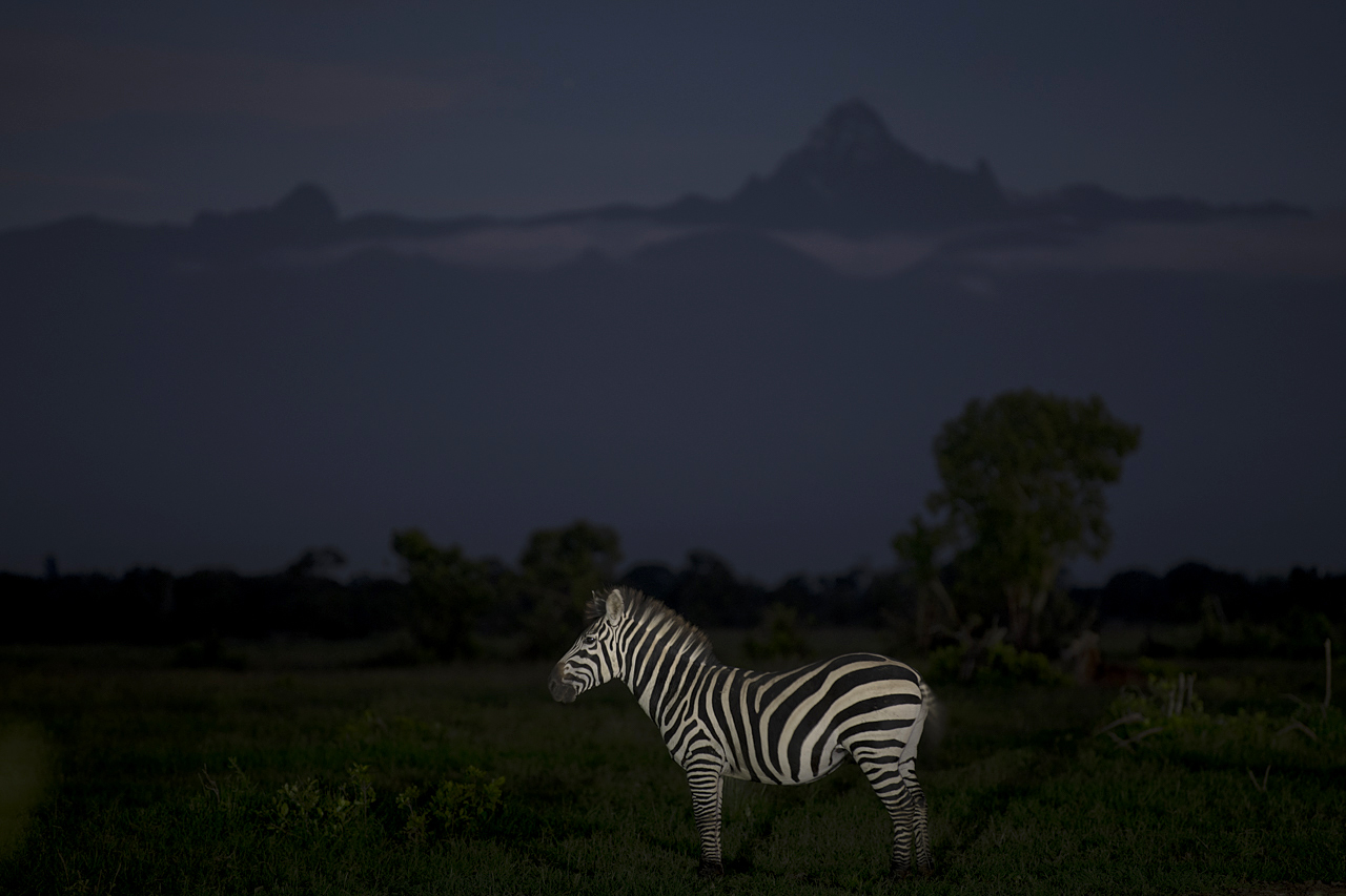 Samburu und Laikipia